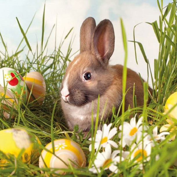 Ostern