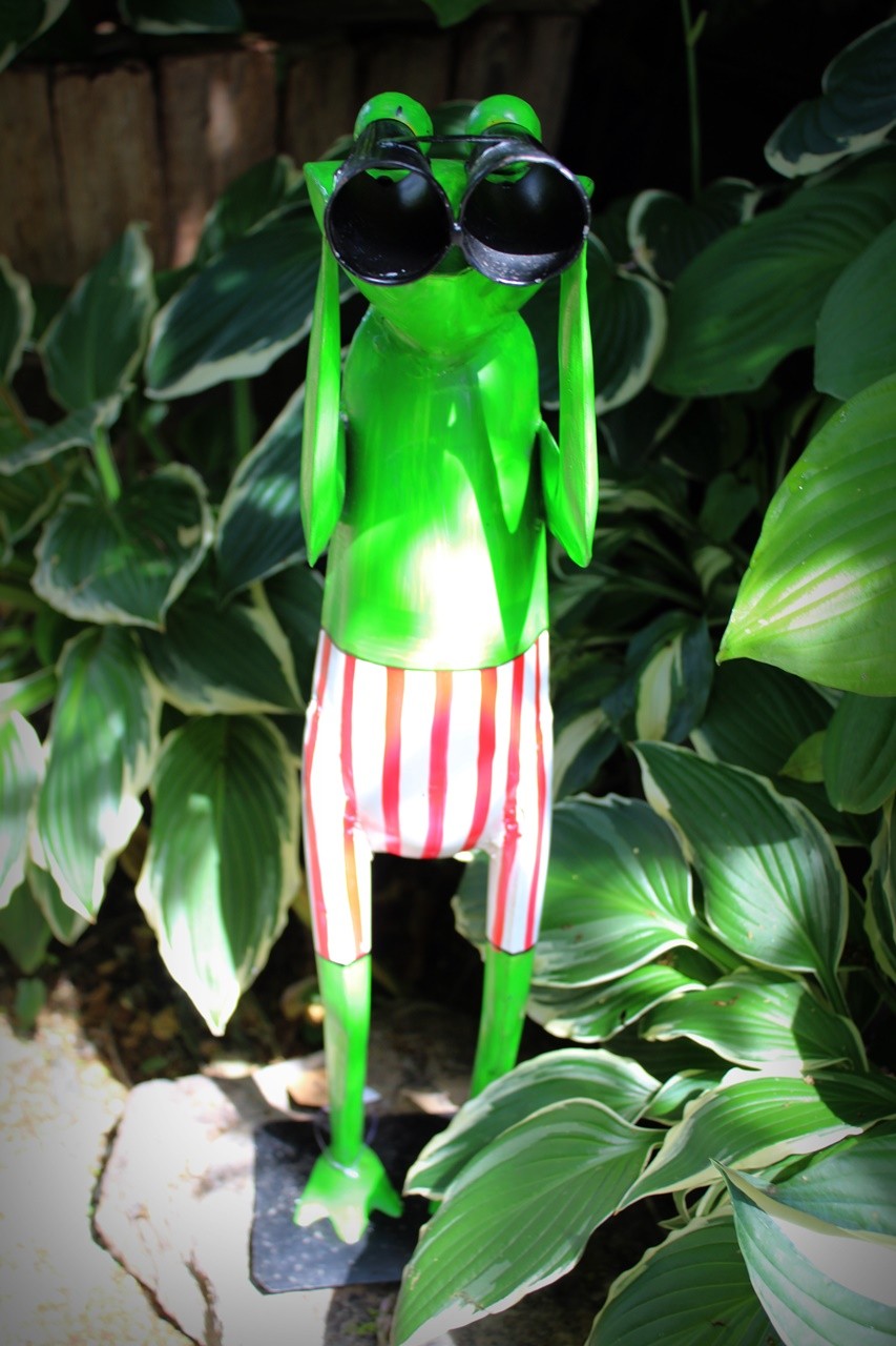 Gartenfigur Frosch Spanner Badehose rot