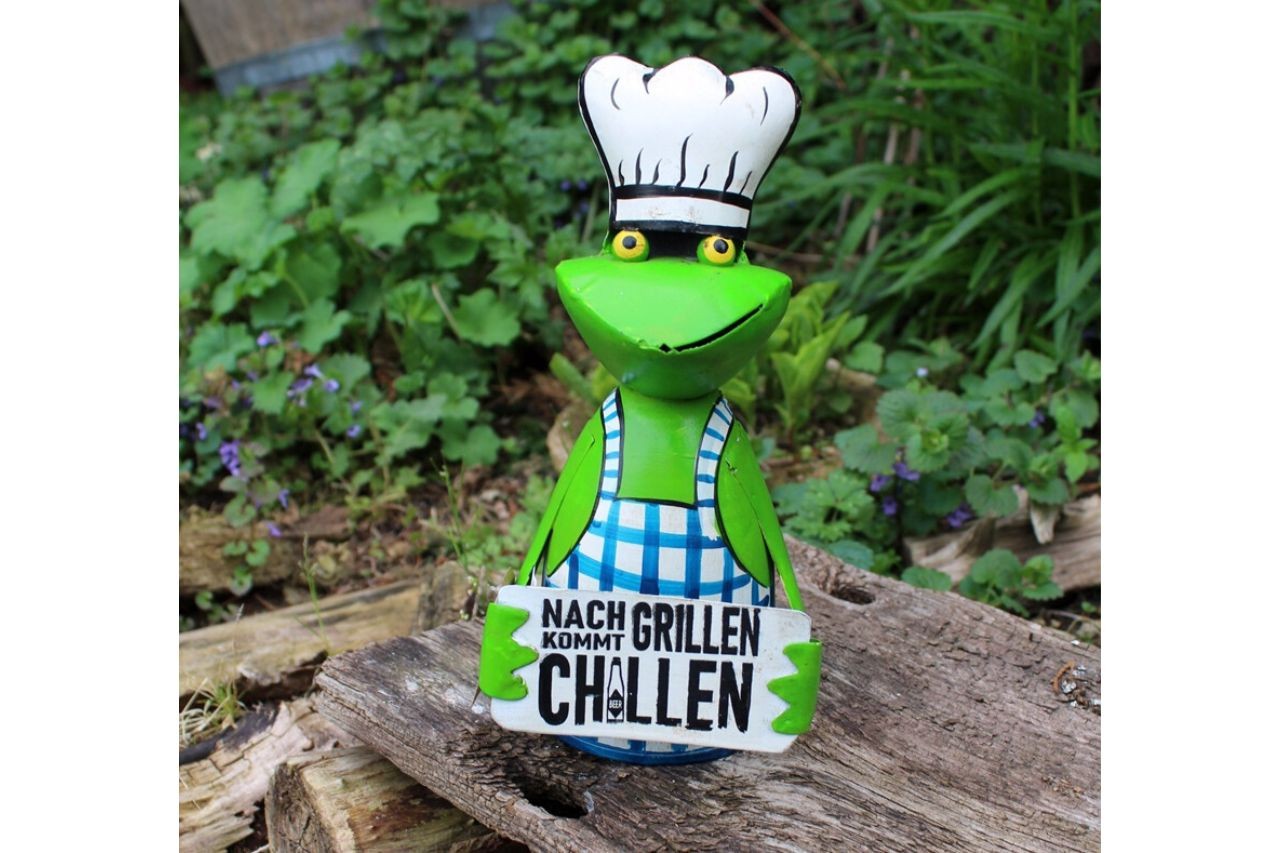 Zaunhocker Frosch Grillen Chillen