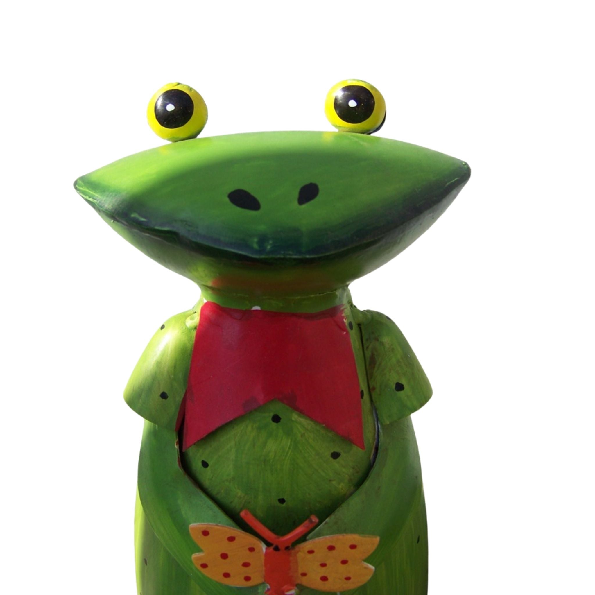 Zaunhocker Frau Frosch Schmetterling