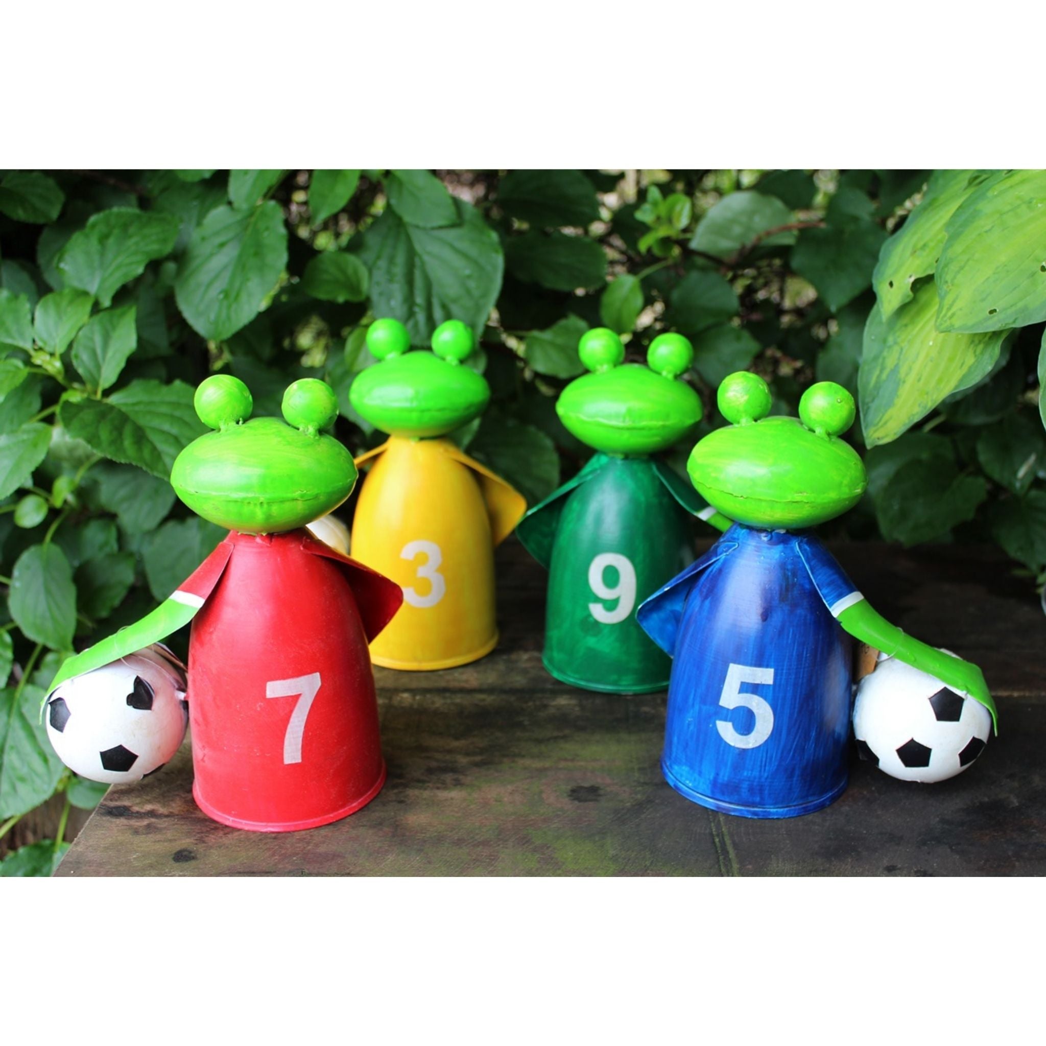 Zaunhocker Fußball Frosch 1Stk.