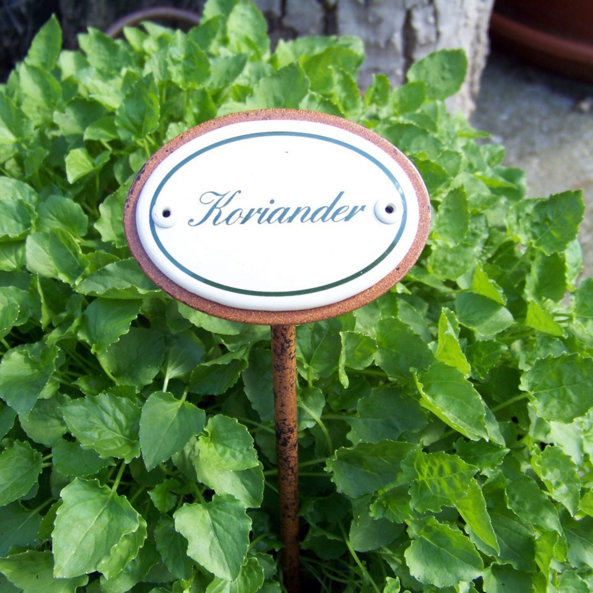 Kräuternamenschild Emaille Kräuterstecker Pflanzenstecker Auswahl treffen