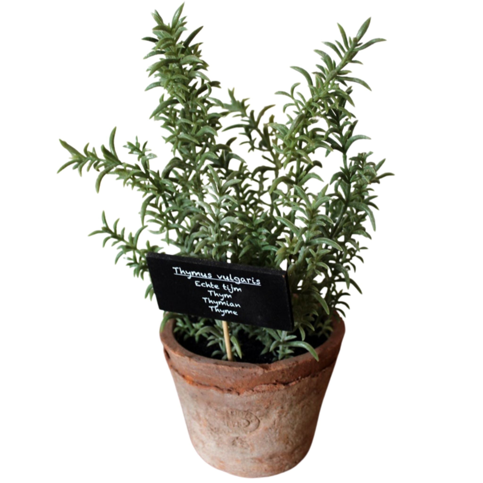 Kunstpflanze Thymian Aged Terracotta Topf Kunstblume