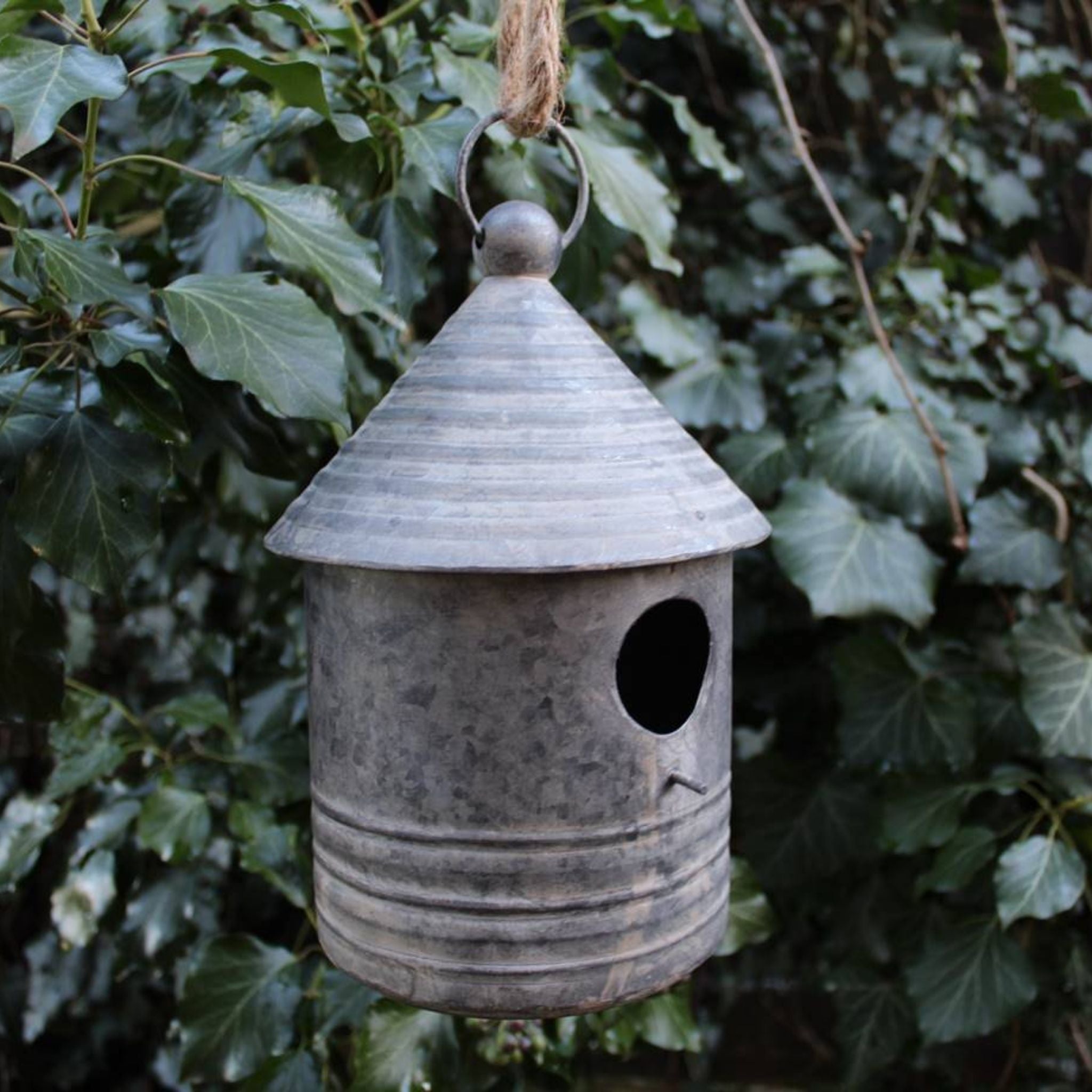 Zink Vogelhaus rund II