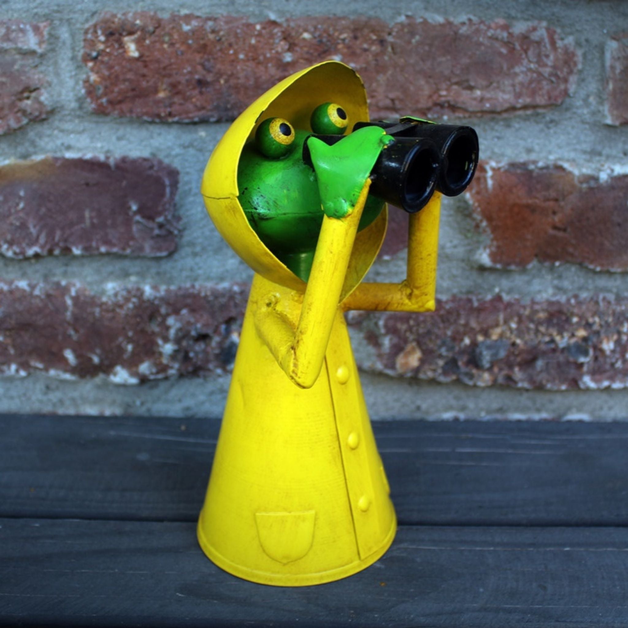 Zaunhocker Regenmantel Frosch Fernglas