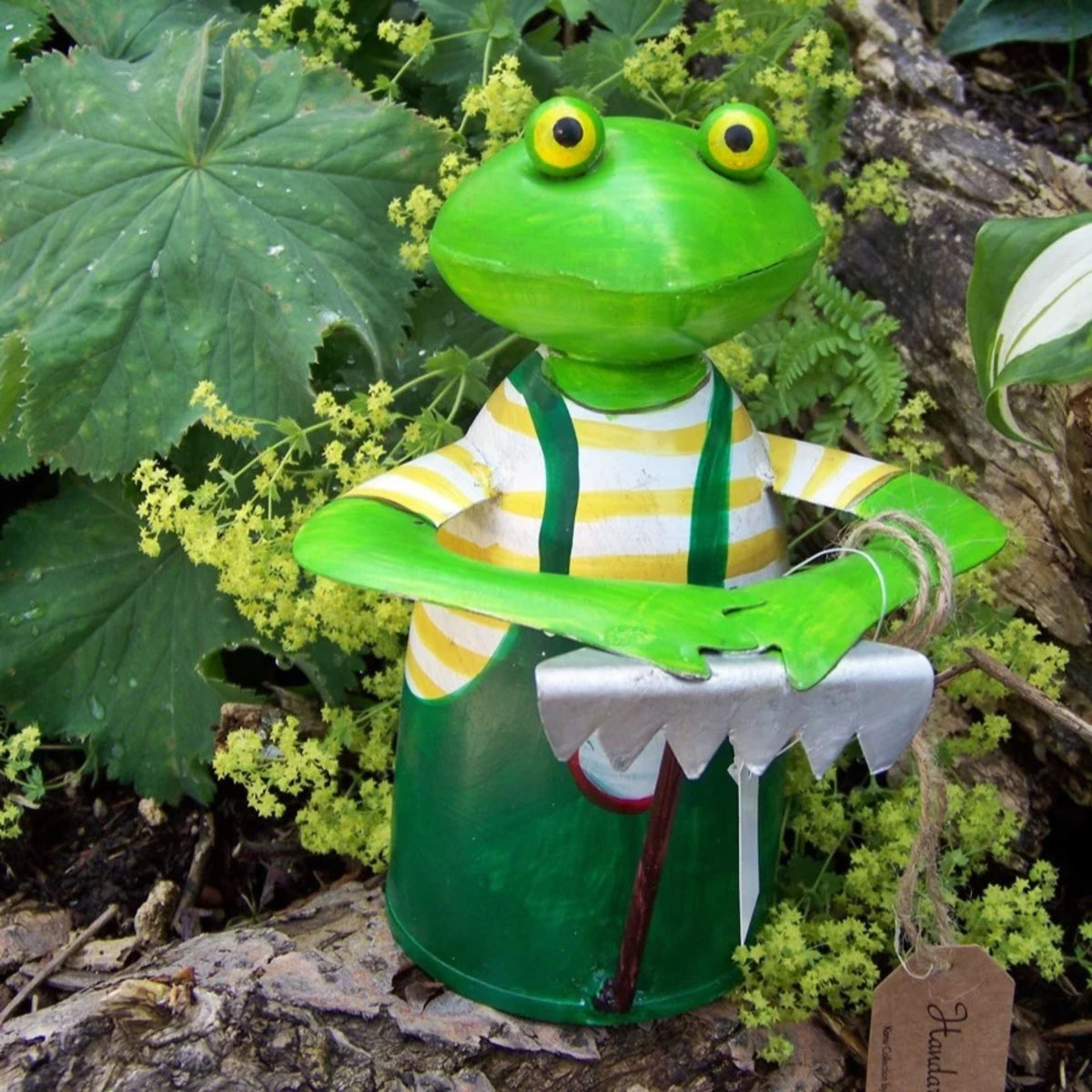 Zaunhocker Frosch mit Rechen