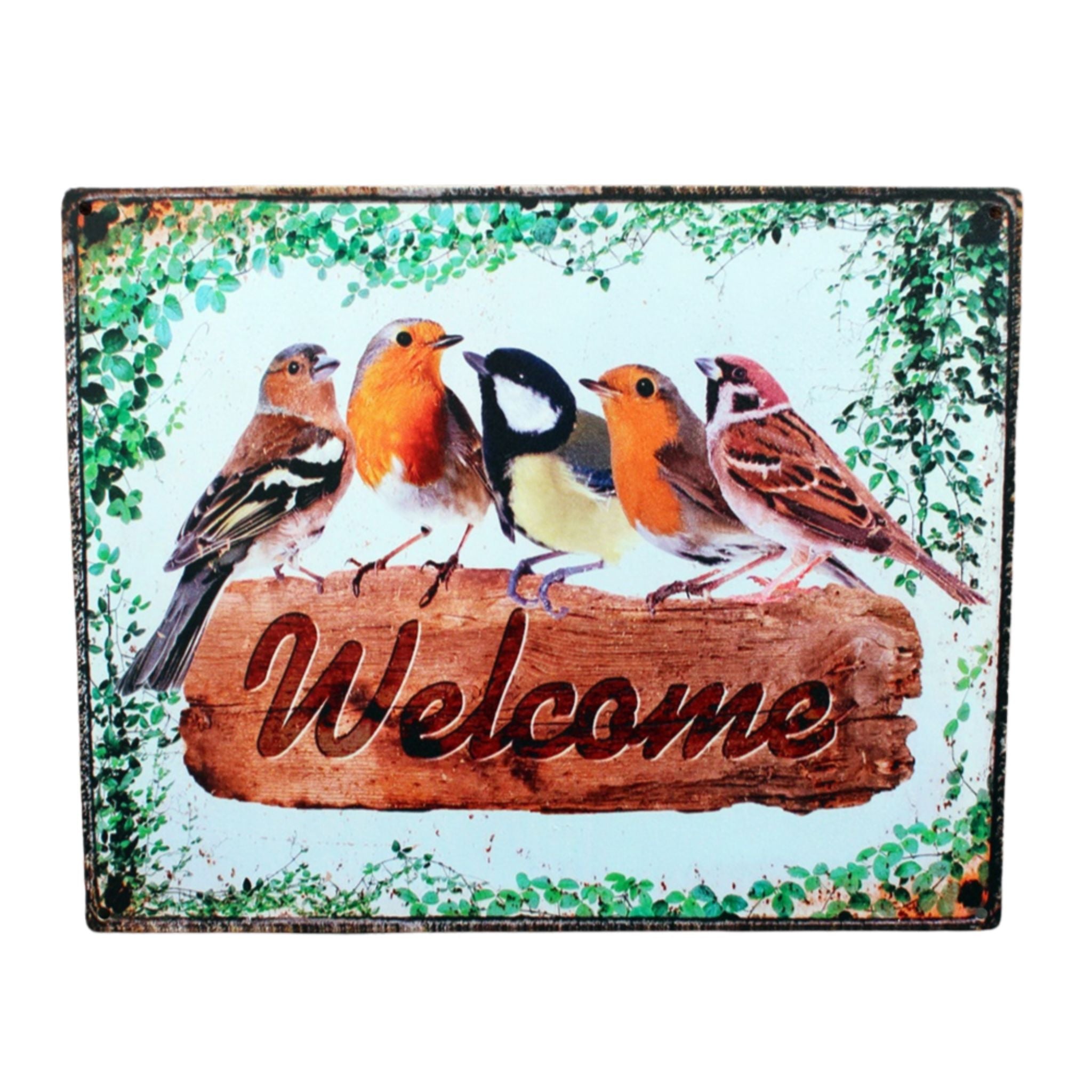 Shabby Blechschild Vögel Wanddeko Rotkehlchen