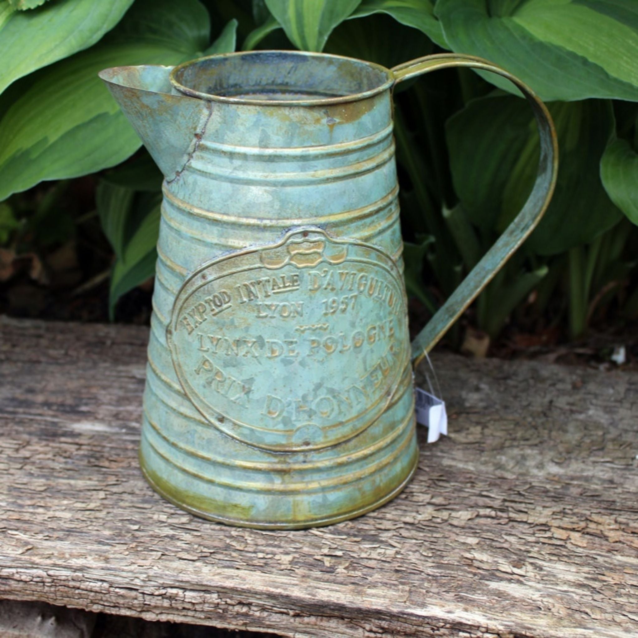 Shabby Deko Kanne Vase für Trockenblumen Rost