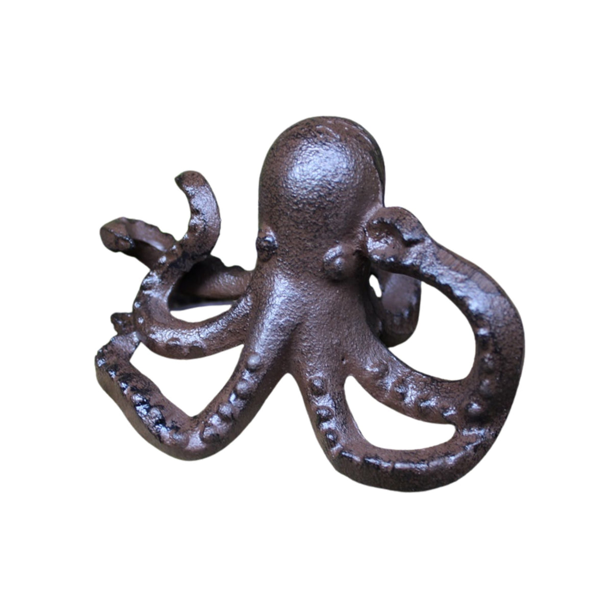 Tintenfisch Octopus Gusseisen