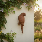 Gartenfigur Papagei Edelrost Wanddeko 28cm