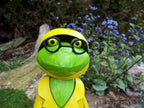 Zaunhocker Regen Frosch Eimer