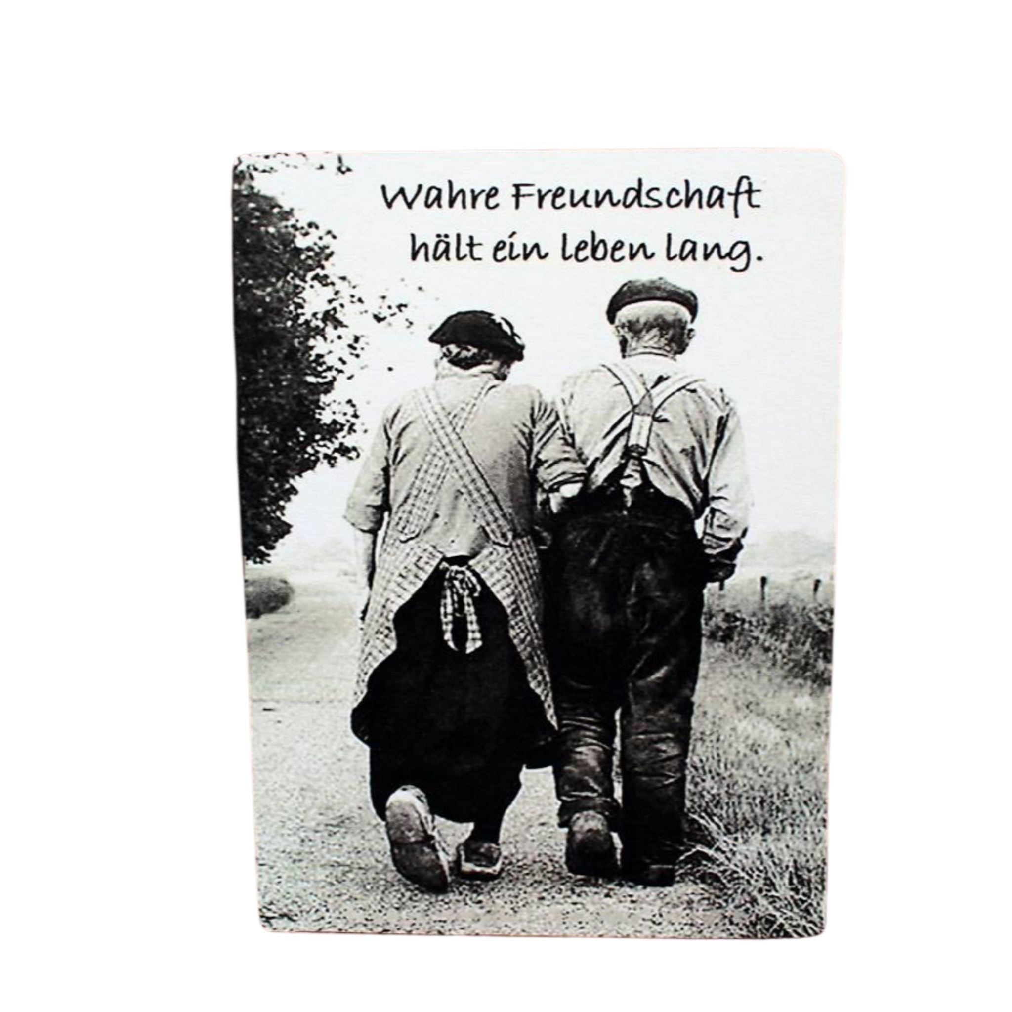 Nostalgie Schild Wahre Freundschaft Paar älter Dekoschild