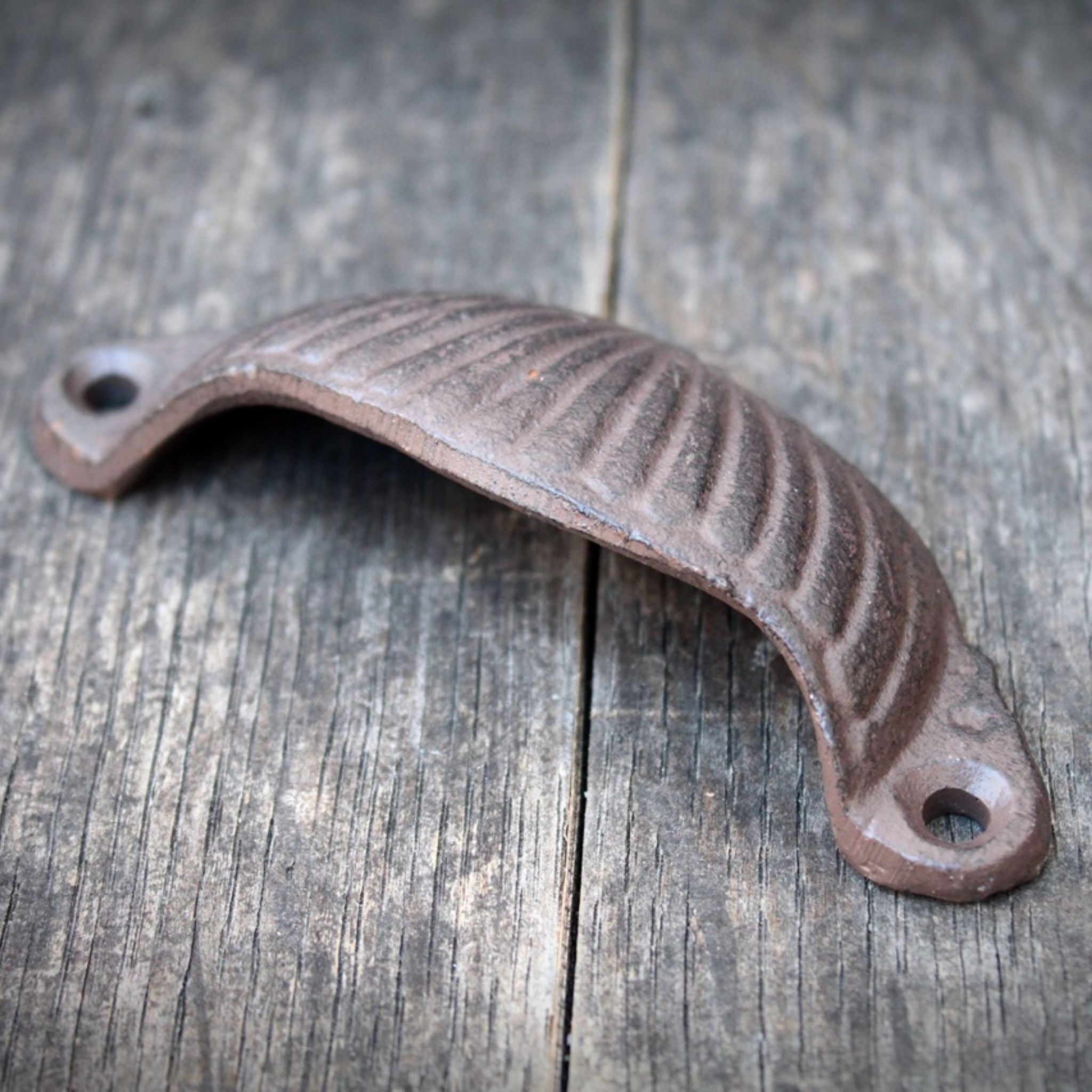 Handgriff Schubladengriff Muschel