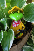 Zaunhocker Frosch mit Anker