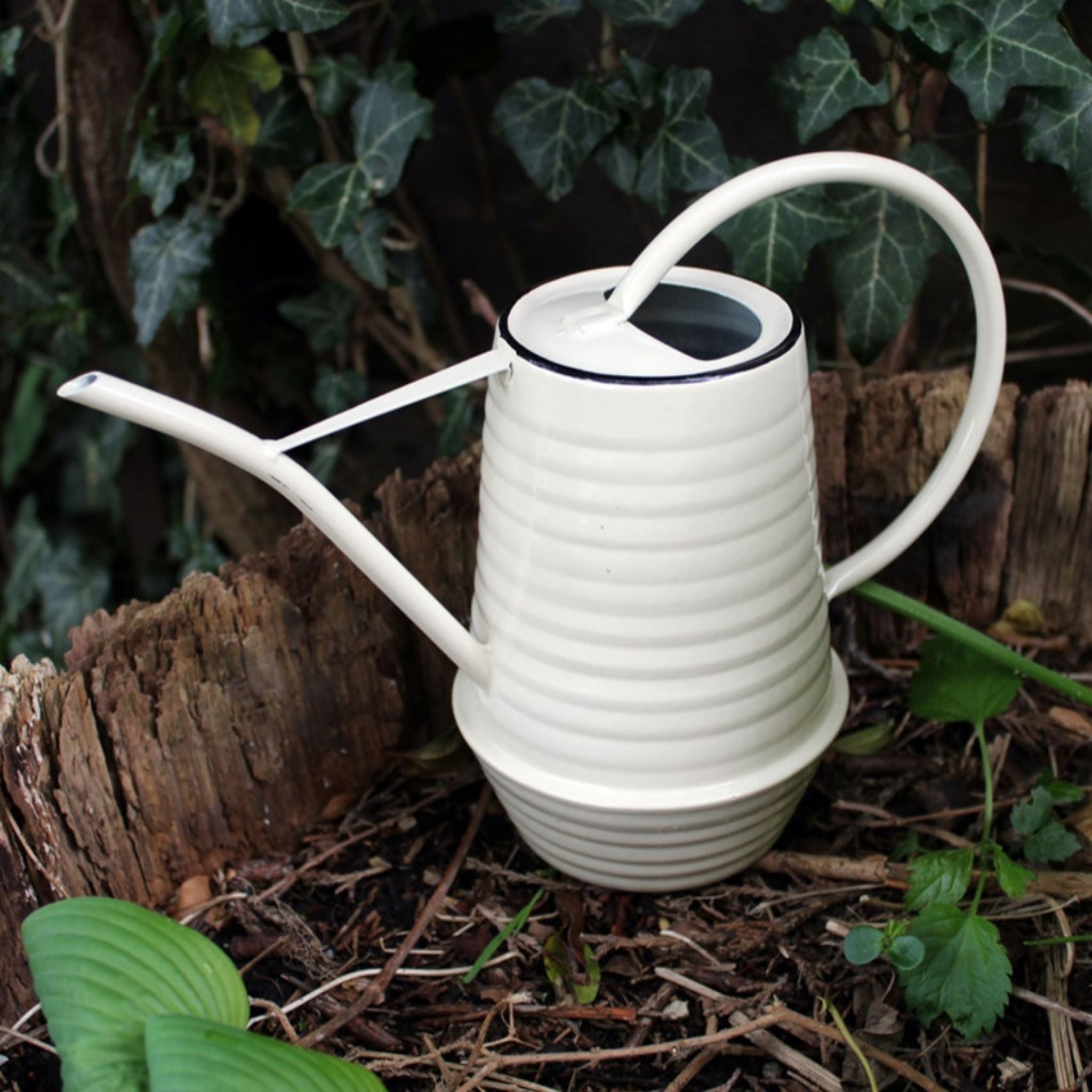 Zimmerpflanzen Gießkanne creme H19,5cm
