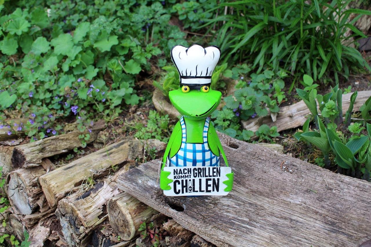 Zaunhocker Frosch Grillen Chillen
