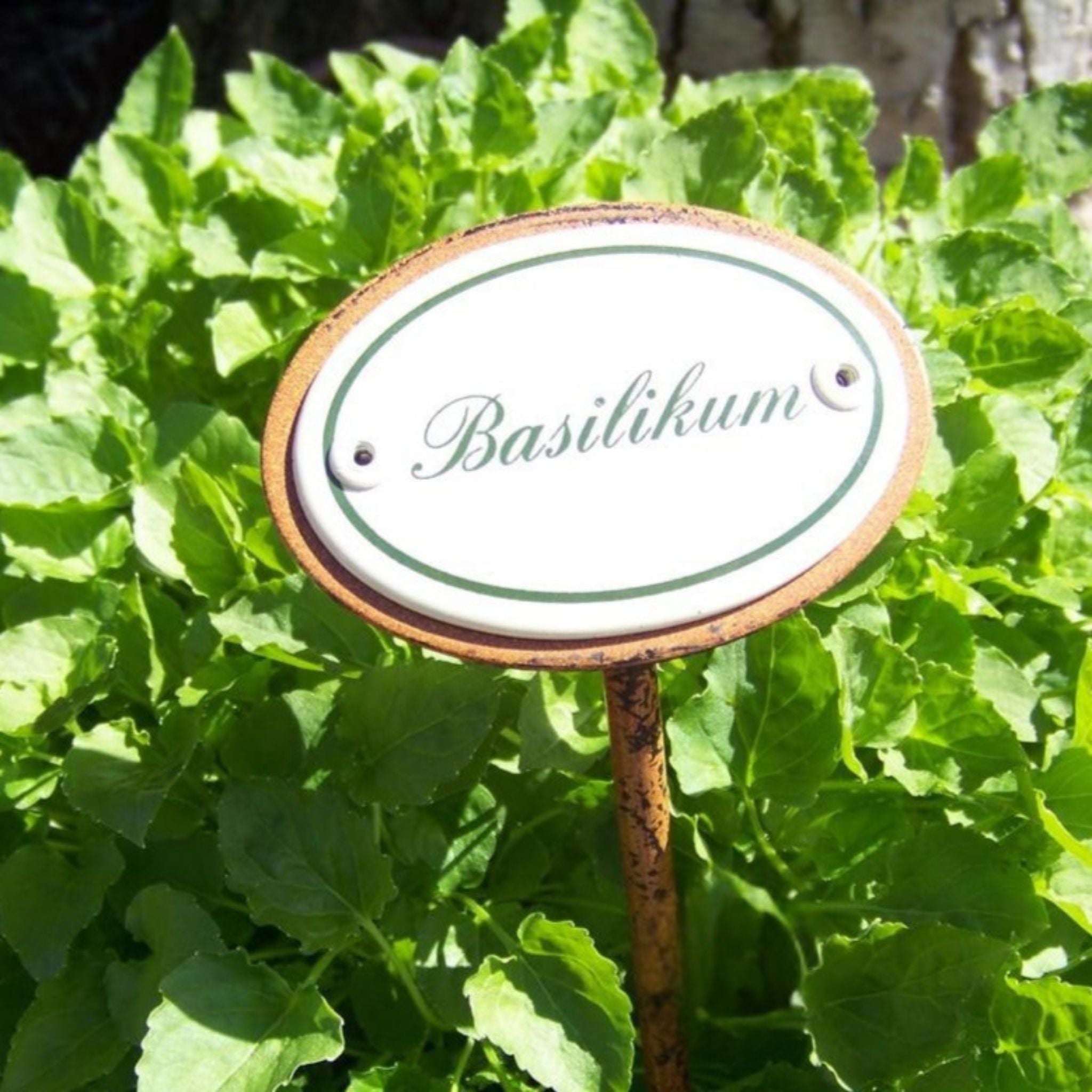Kräuternamenschild Emaille Kräuterstecker Pflanzenstecker Auswahl treffen