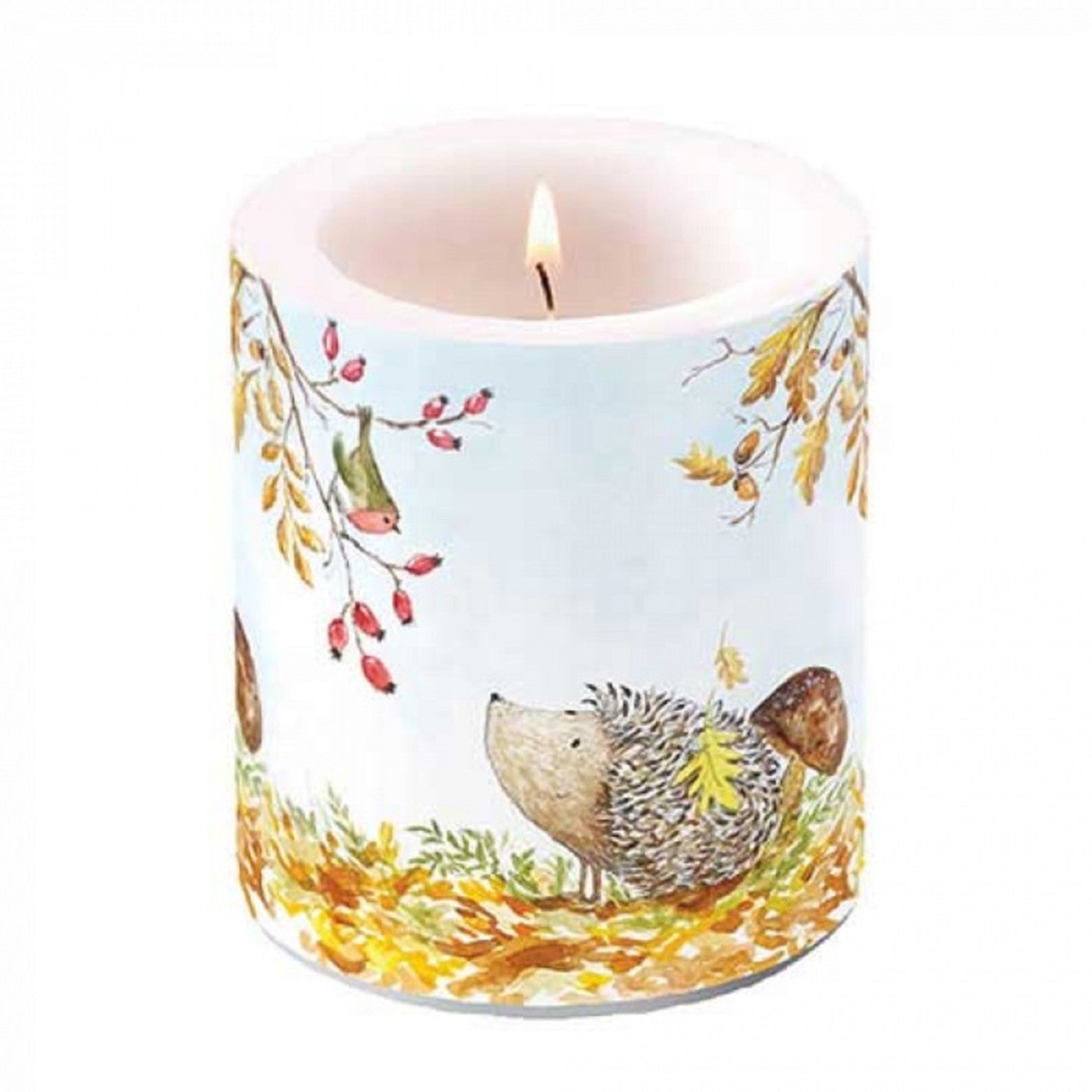 Kerze groß Igel und Rotkehlchen