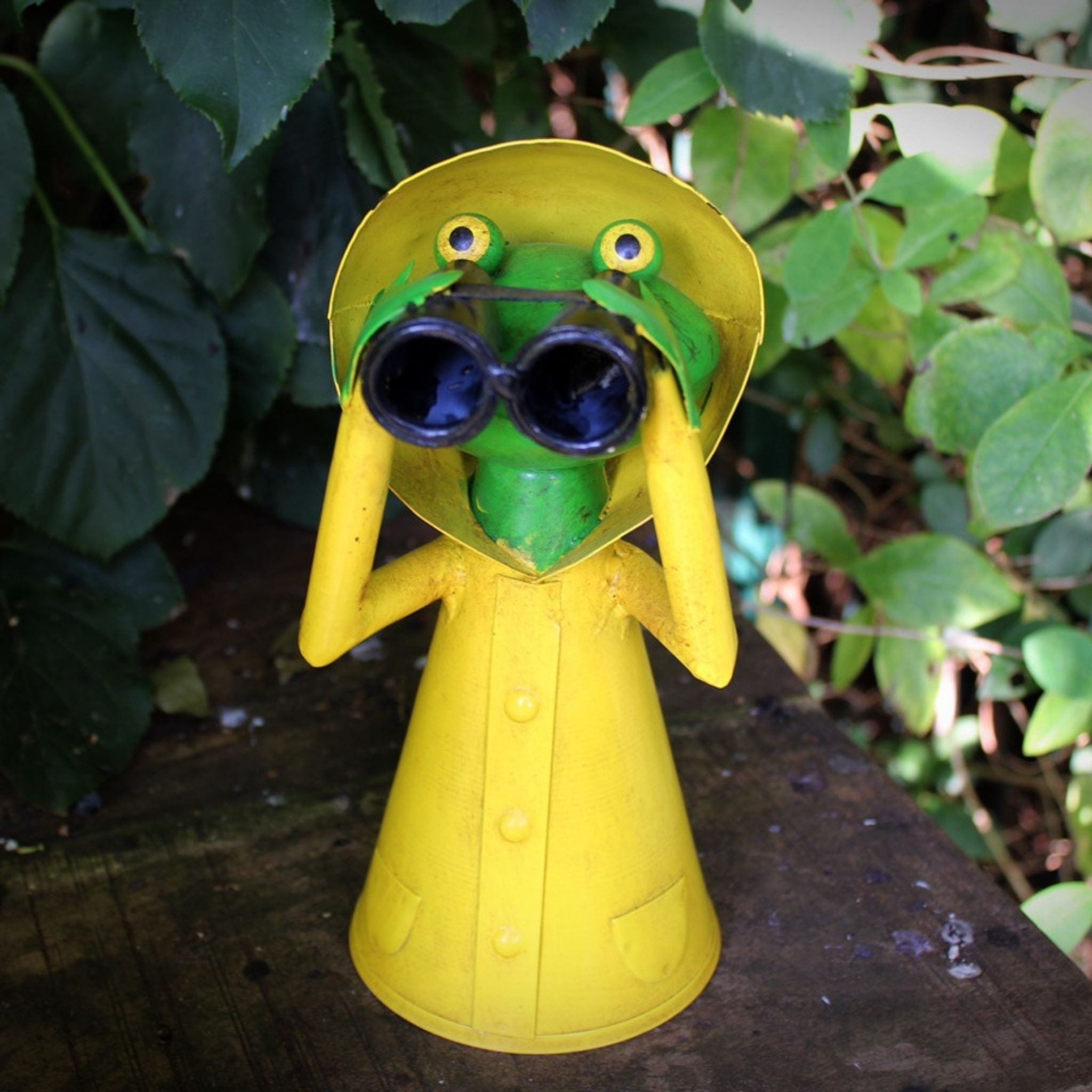 Zaunhocker Regenmantel Frosch Fernglas
