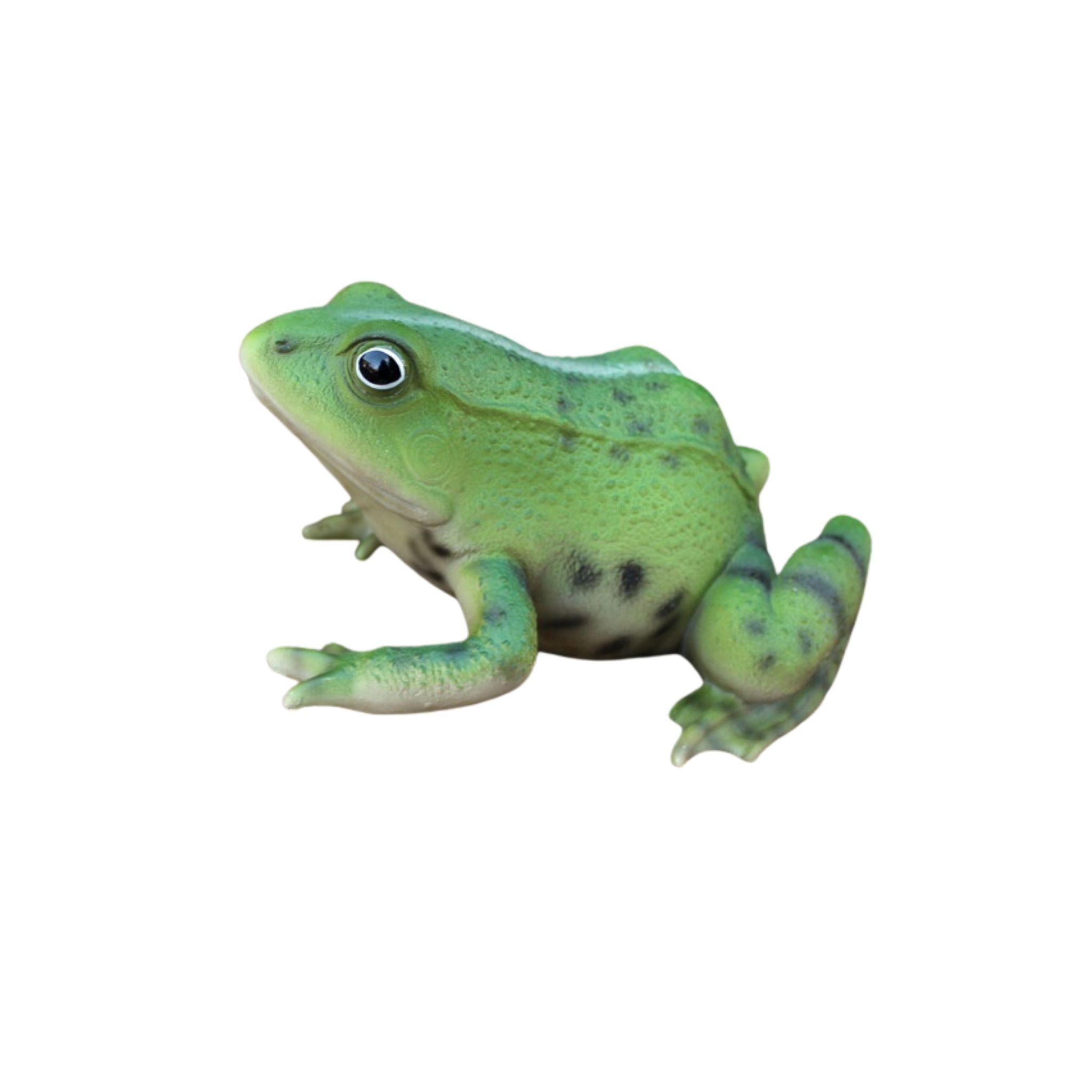 Gartenfigur Frosch lebensecht