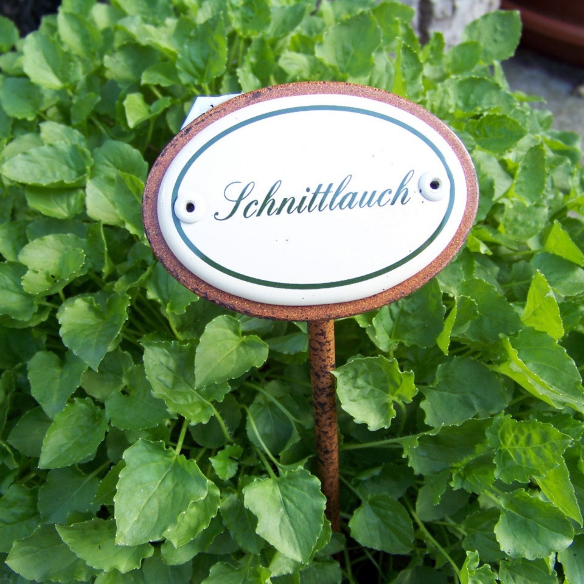 Kräuternamenschild Emaille Kräuterstecker Pflanzenstecker Auswahl treffen