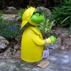 Zaunhocker Regen Frosch Eimer