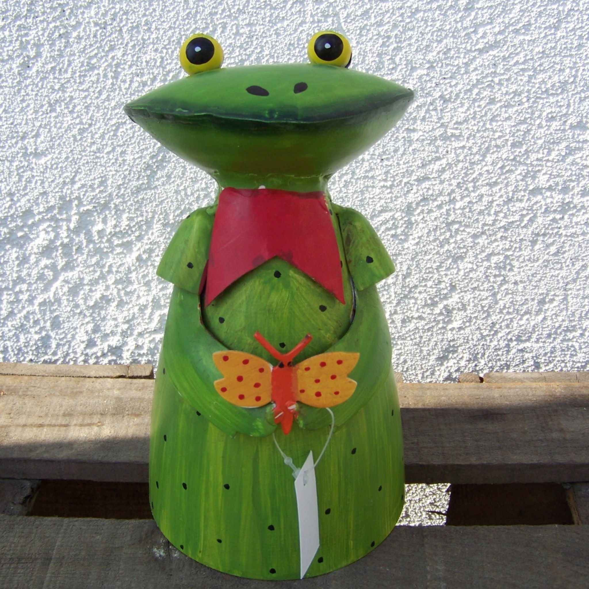 Zaunhocker Frau Frosch Schmetterling