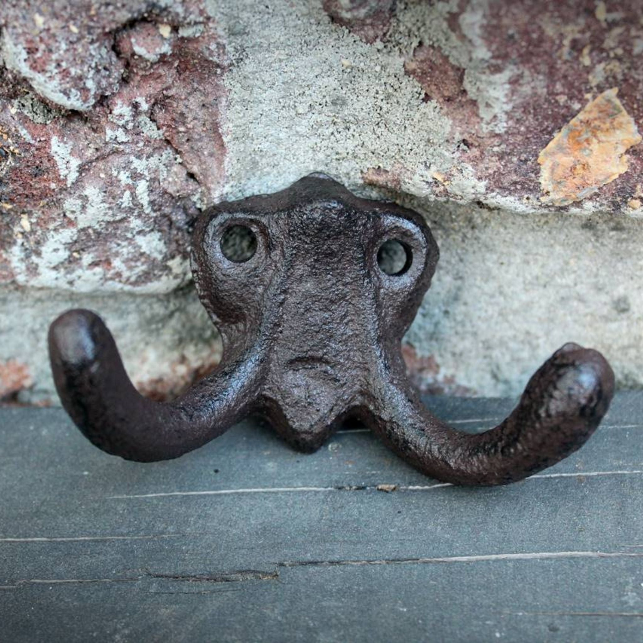 Doppel Wandhaken Gusseisen