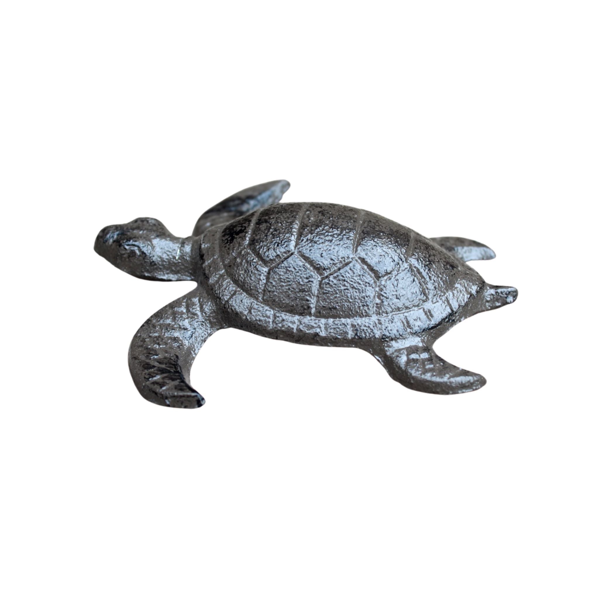 Schildkröte Gusseisen