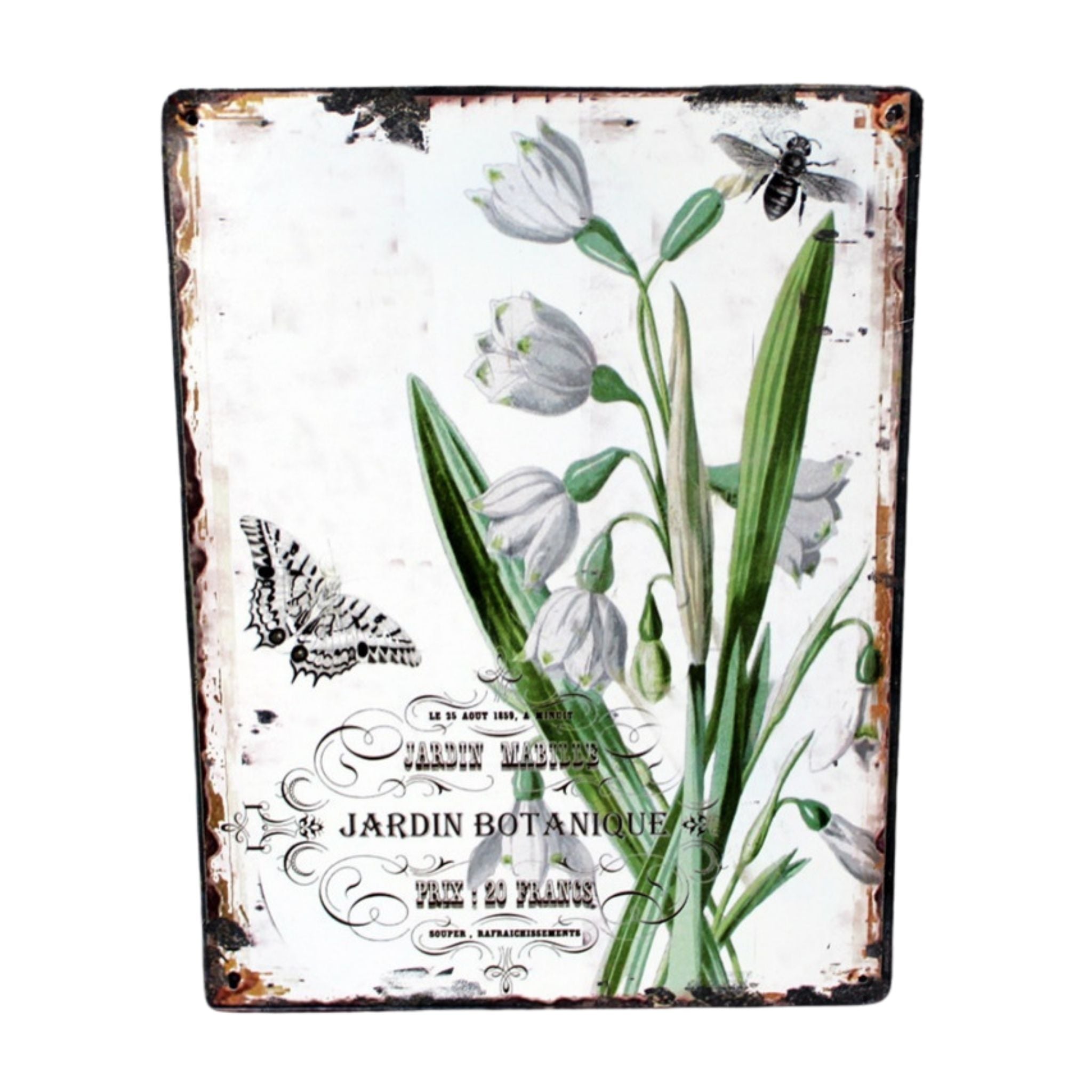 Shabby Blechschild Botanischer Garten Blumen Schmetterling