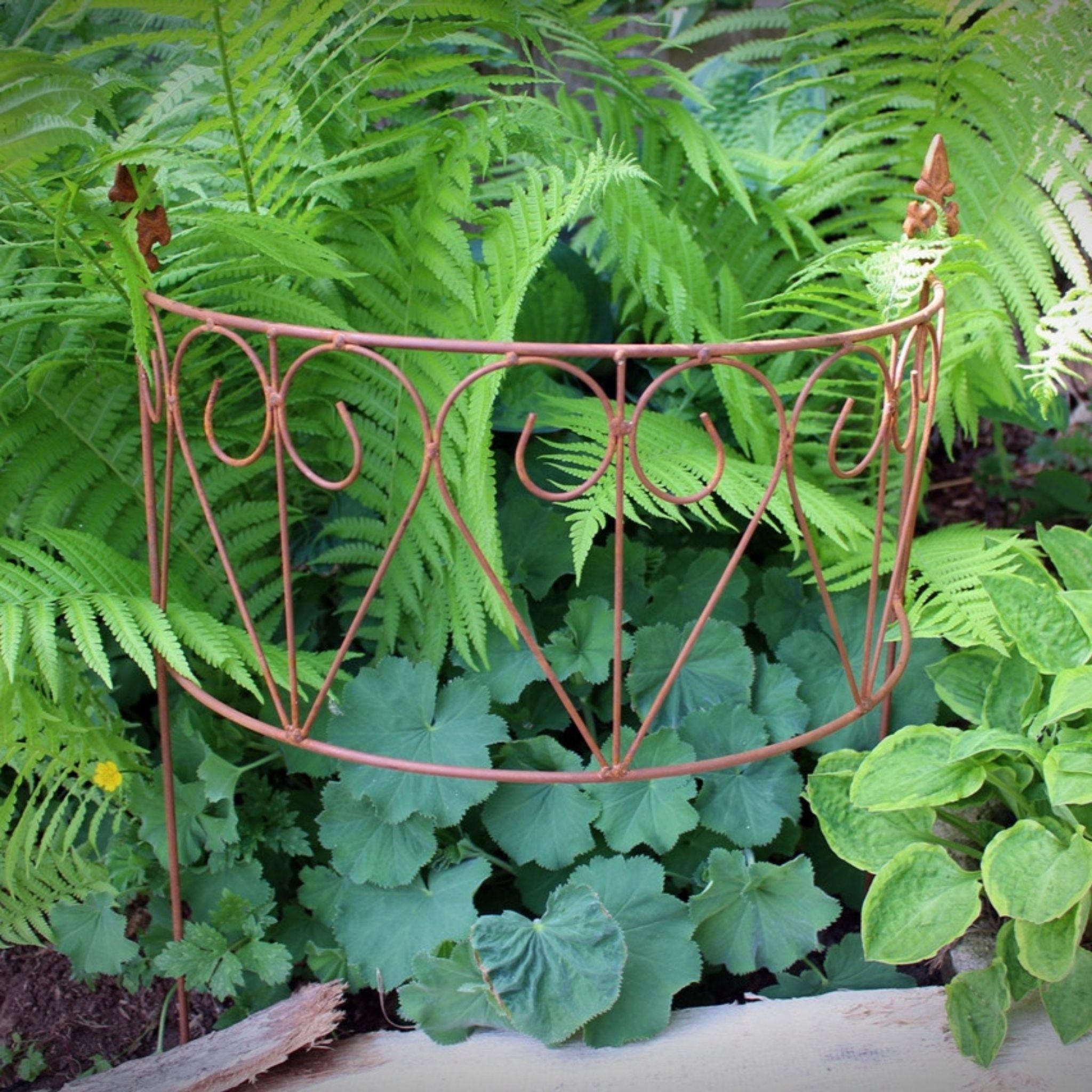 Halbrundes Rankgitter Edelrost H60 cm – Metall-Rankhilfe
