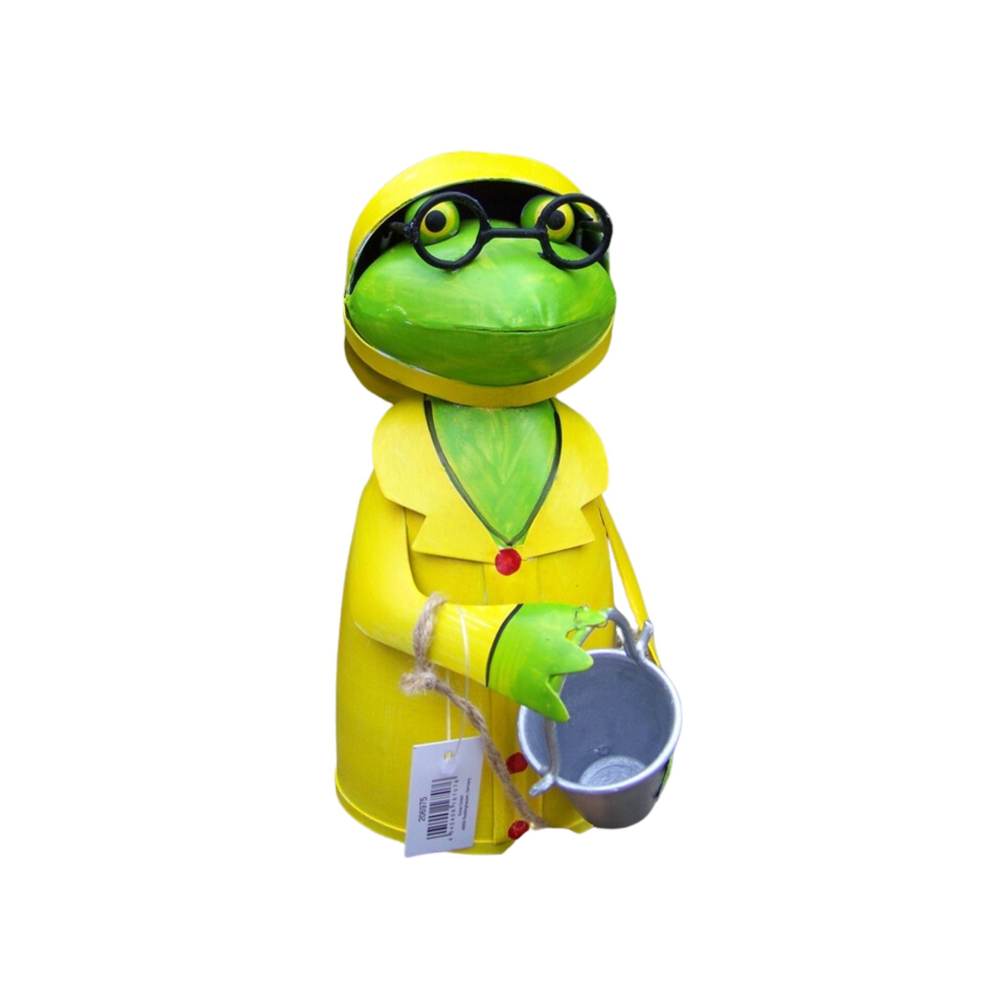 Zaunhocker Regen Frosch Eimer
