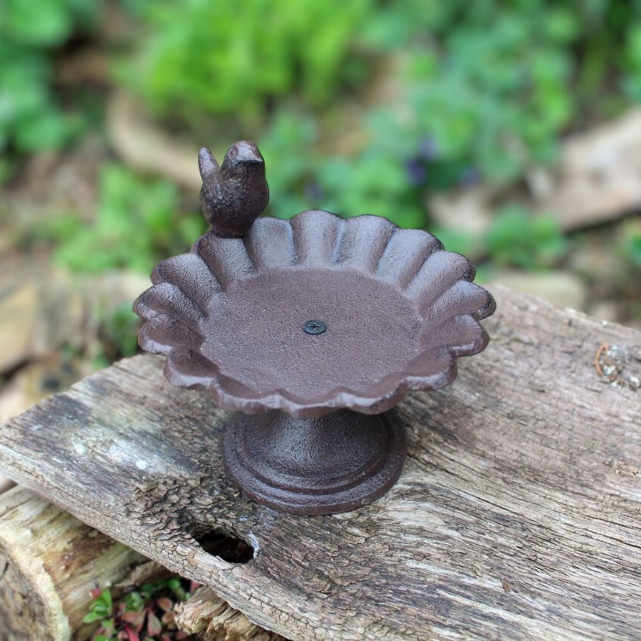 Vogeltränke auf Fuß klein