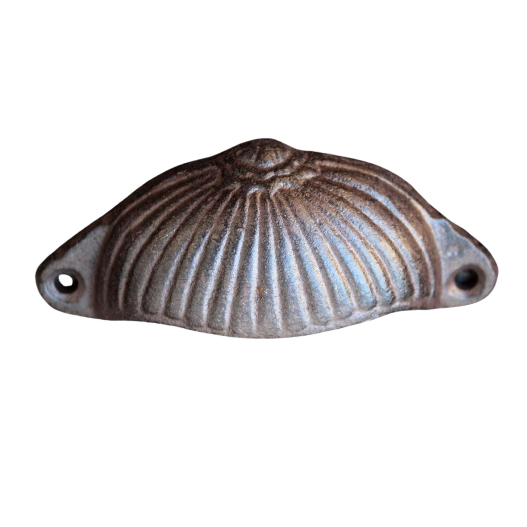 Handgriff Schubladengriff Muschel