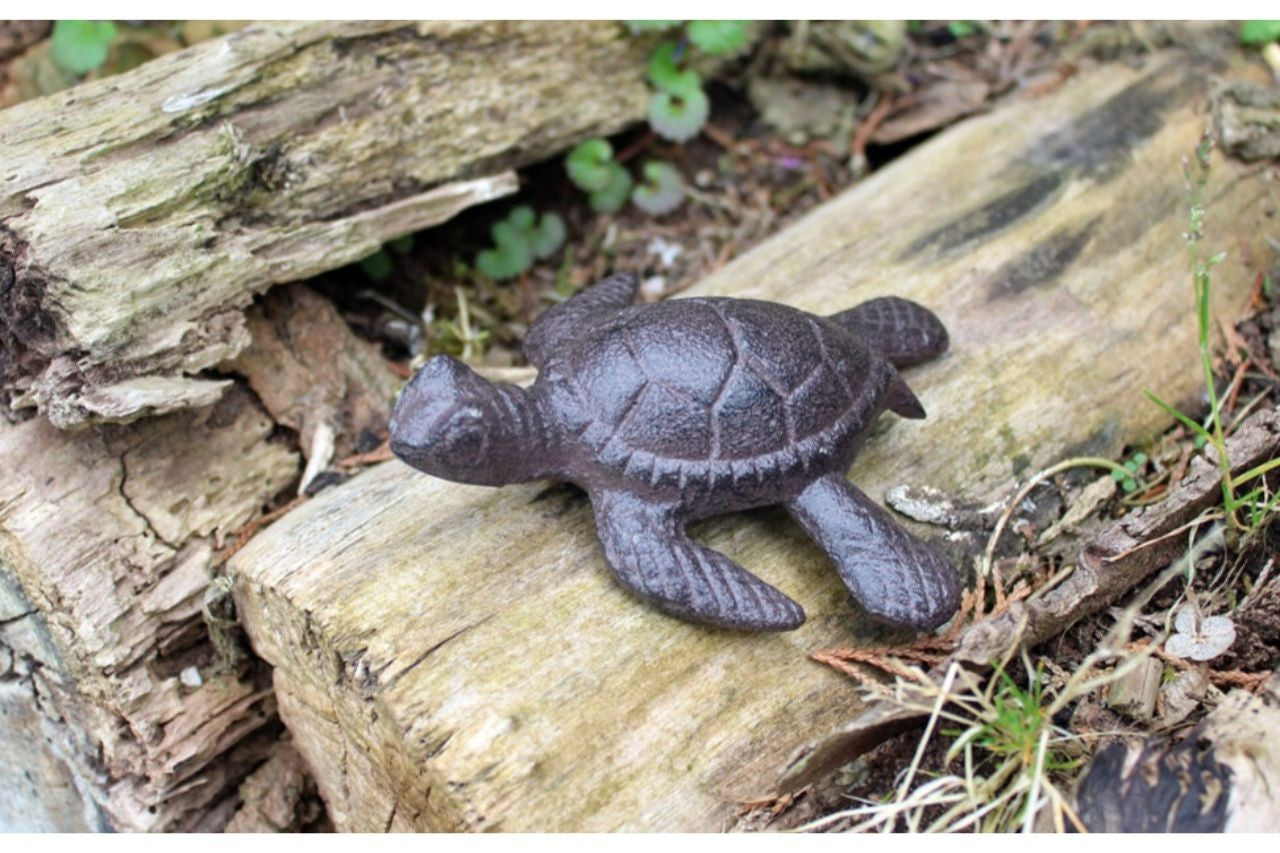 Gartenfigur Schildkröte klein