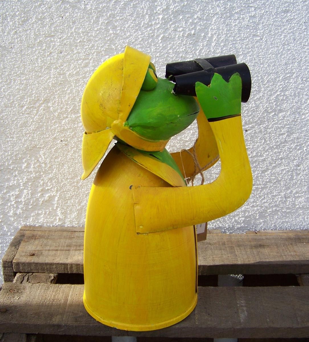 Zaunhocker Regen Frosch mit Fernglas