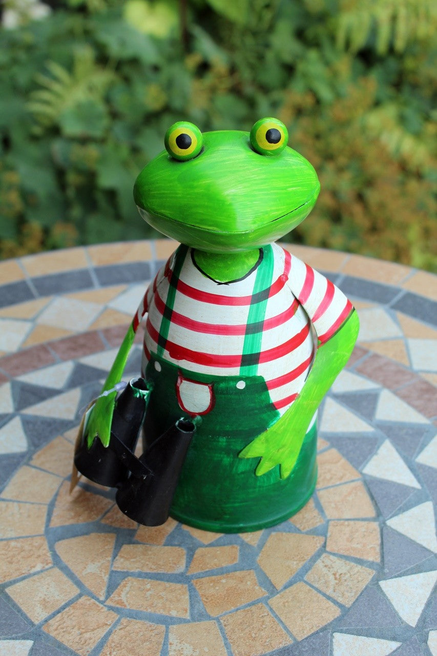 Zaunhocker Frosch Gärtner mit Fernglas