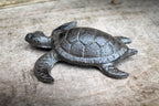 Schildkröte Gusseisen
