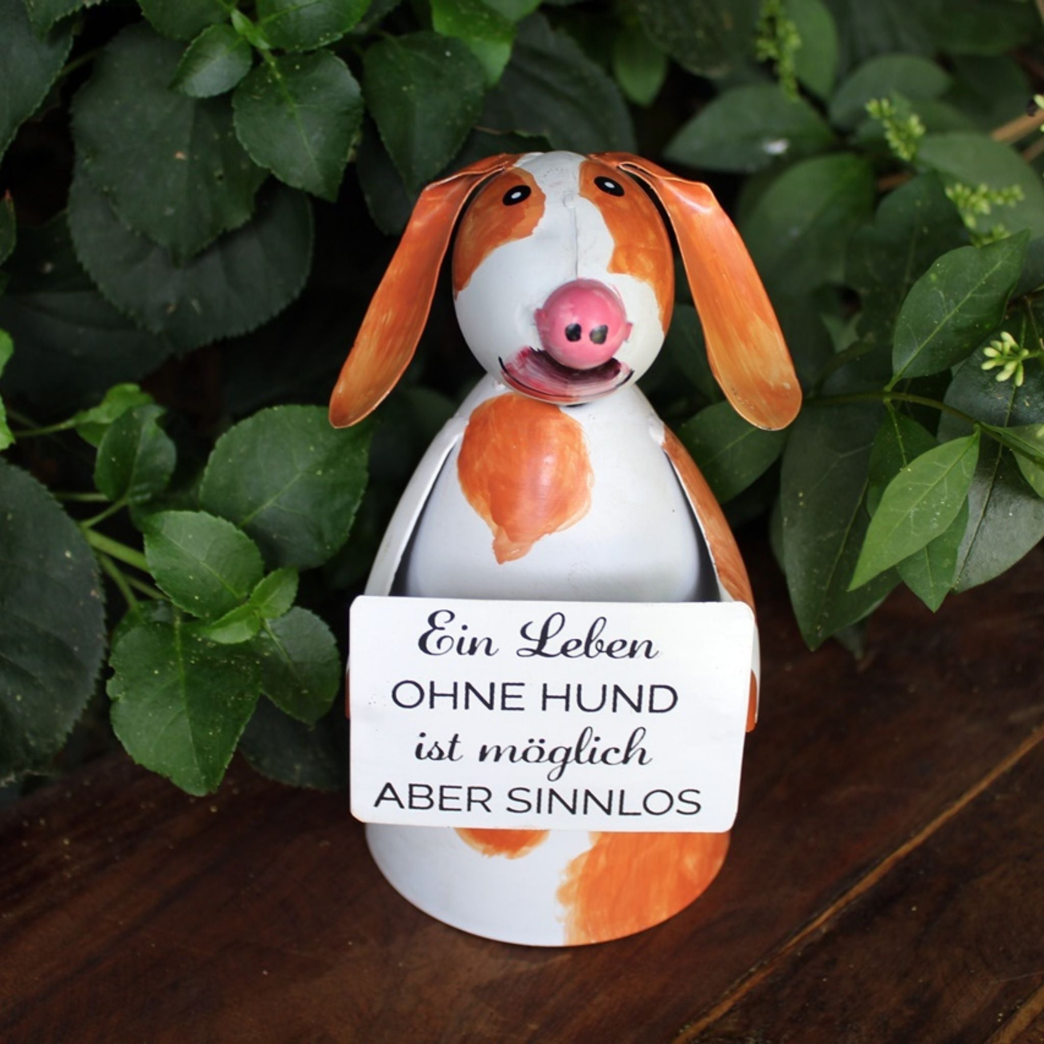 Zaunhocker Hund Ein Leben ohne