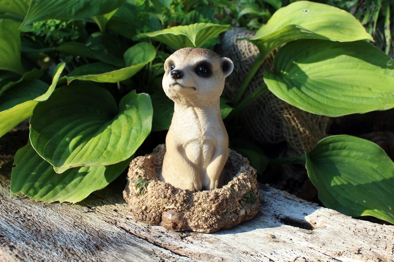 Gartenfigur grabendes Erdmännchen