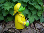 Zaunhocker Regen Frosch Gießkanne