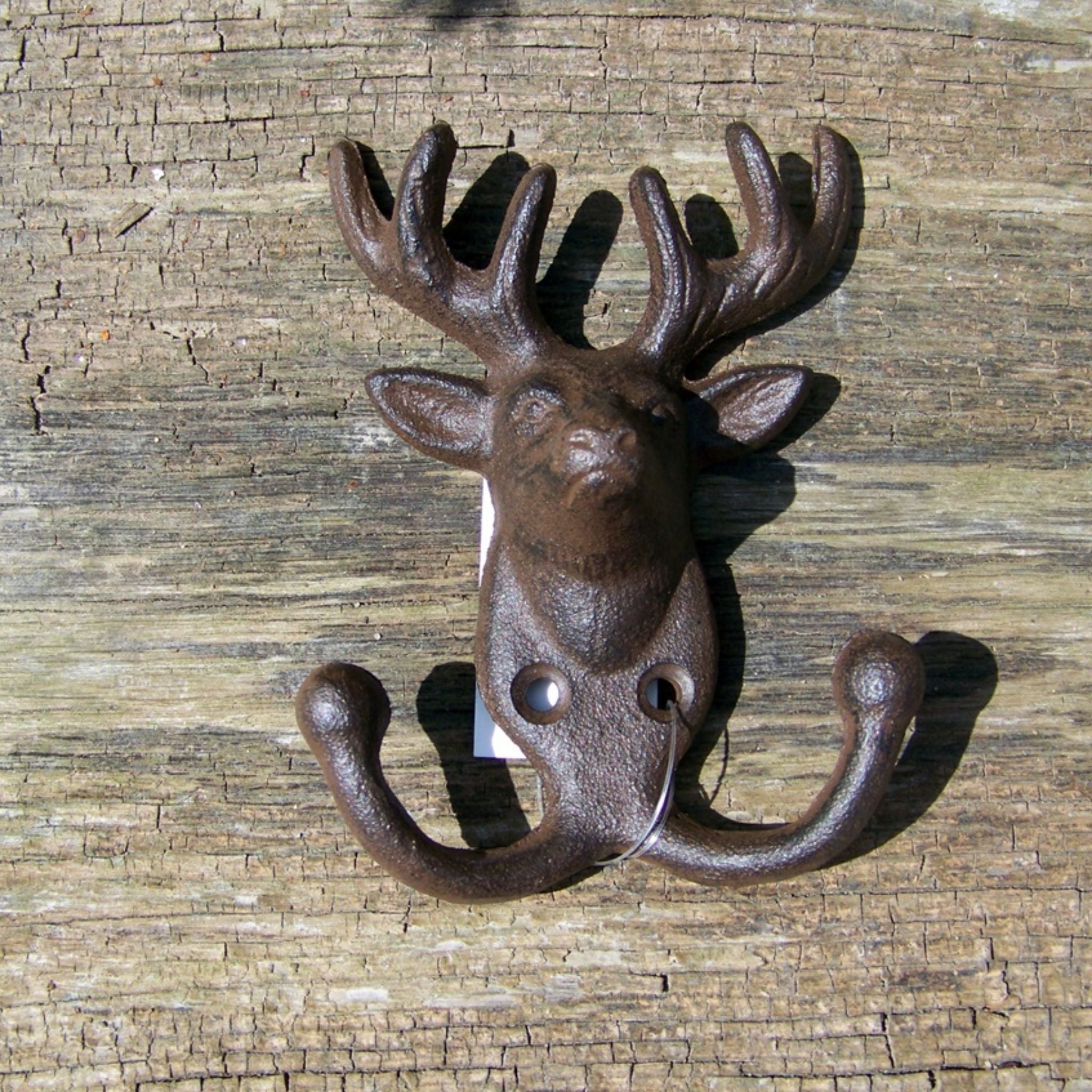 Doppel Wandhaken Hirsch