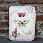 Shabby Blechschild Schmetterlinge Wanddeko 33x25cm