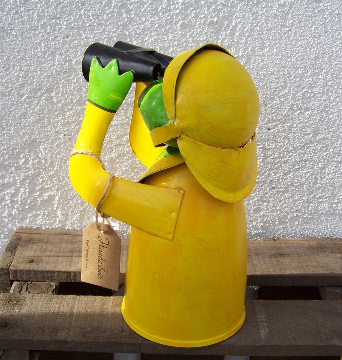 Zaunhocker Regen Frosch mit Fernglas