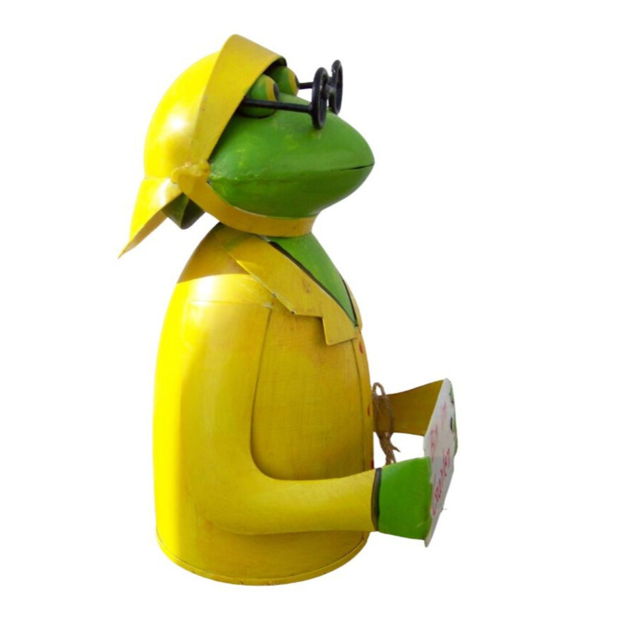 Zaunhocker Regen Frosch Garten