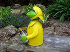 Zaunhocker Regen Frosch Eimer
