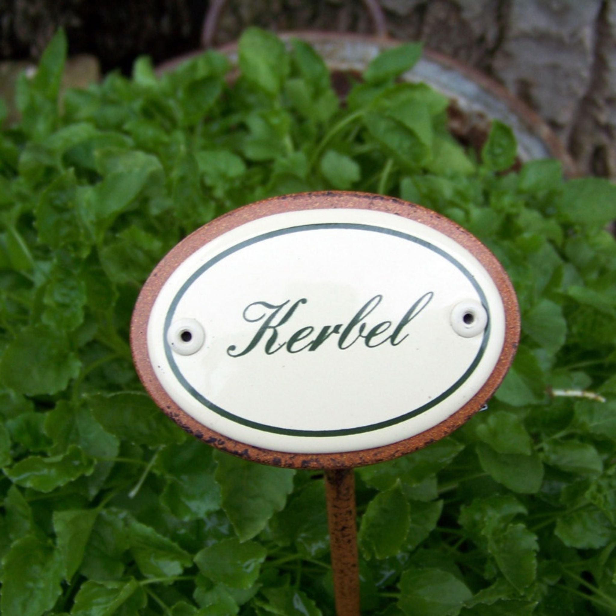 Kräuternamenschild Emaille Kräuterstecker Pflanzenstecker Auswahl treffen
