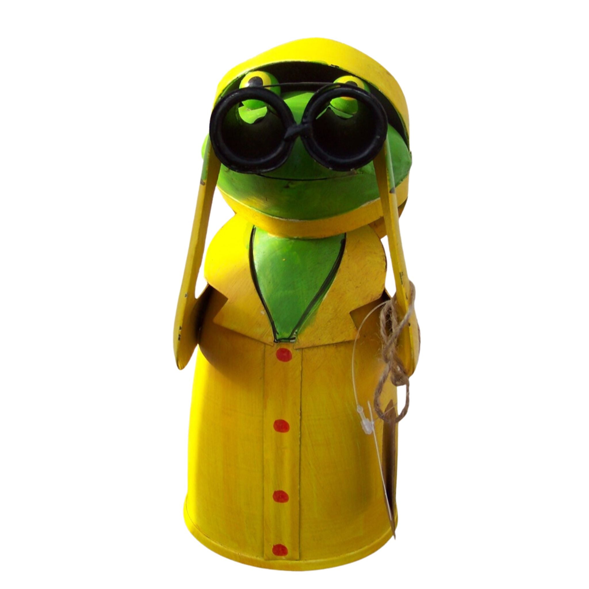 Zaunhocker Regen Frosch mit Fernglas