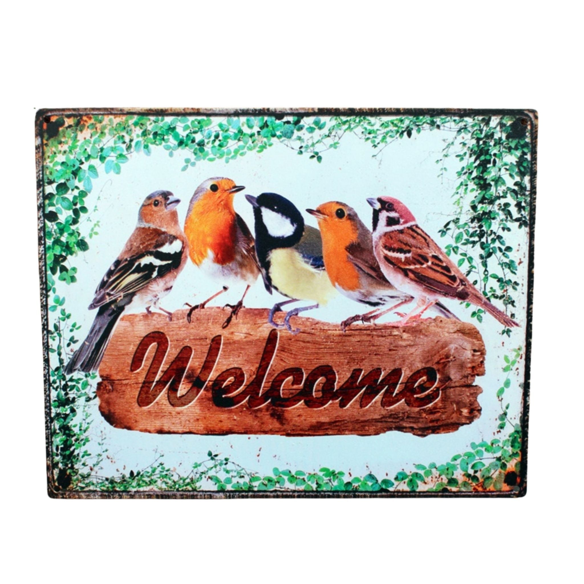 Shabby Blechschild Vögel Wanddeko Rotkehlchen