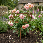 Staudenhalter aus Edelrost, 72 cm – Garten-Rankhilfe